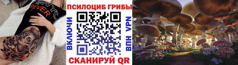 Псилоцибиновые грибы прущие грибы купить цена МЕГА зеркало Ржев