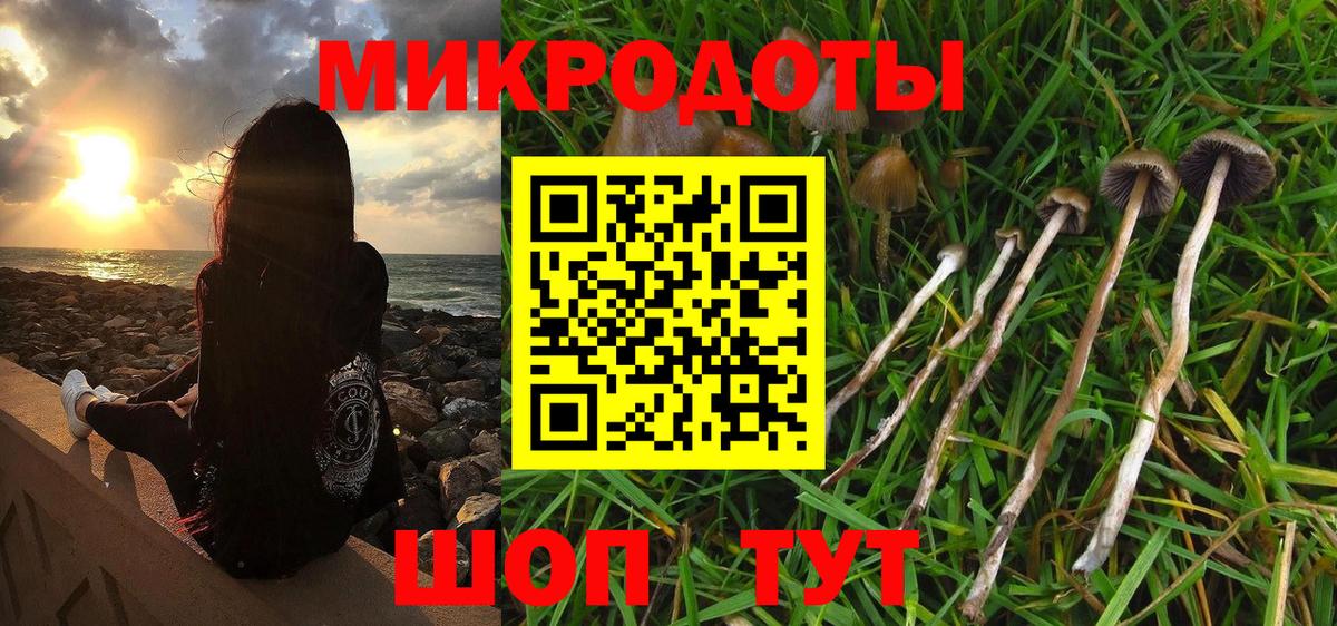 Псилоцибиновые грибы мицелий  Вход с VPN  Ржев 