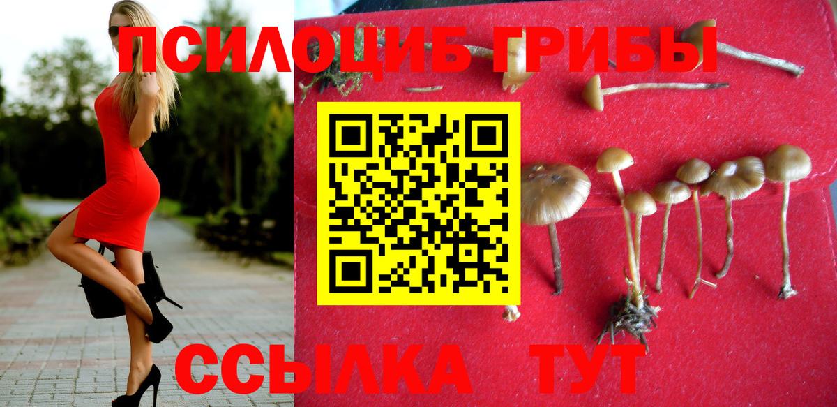 Галлюциногенные грибы Magic Shrooms Ржев